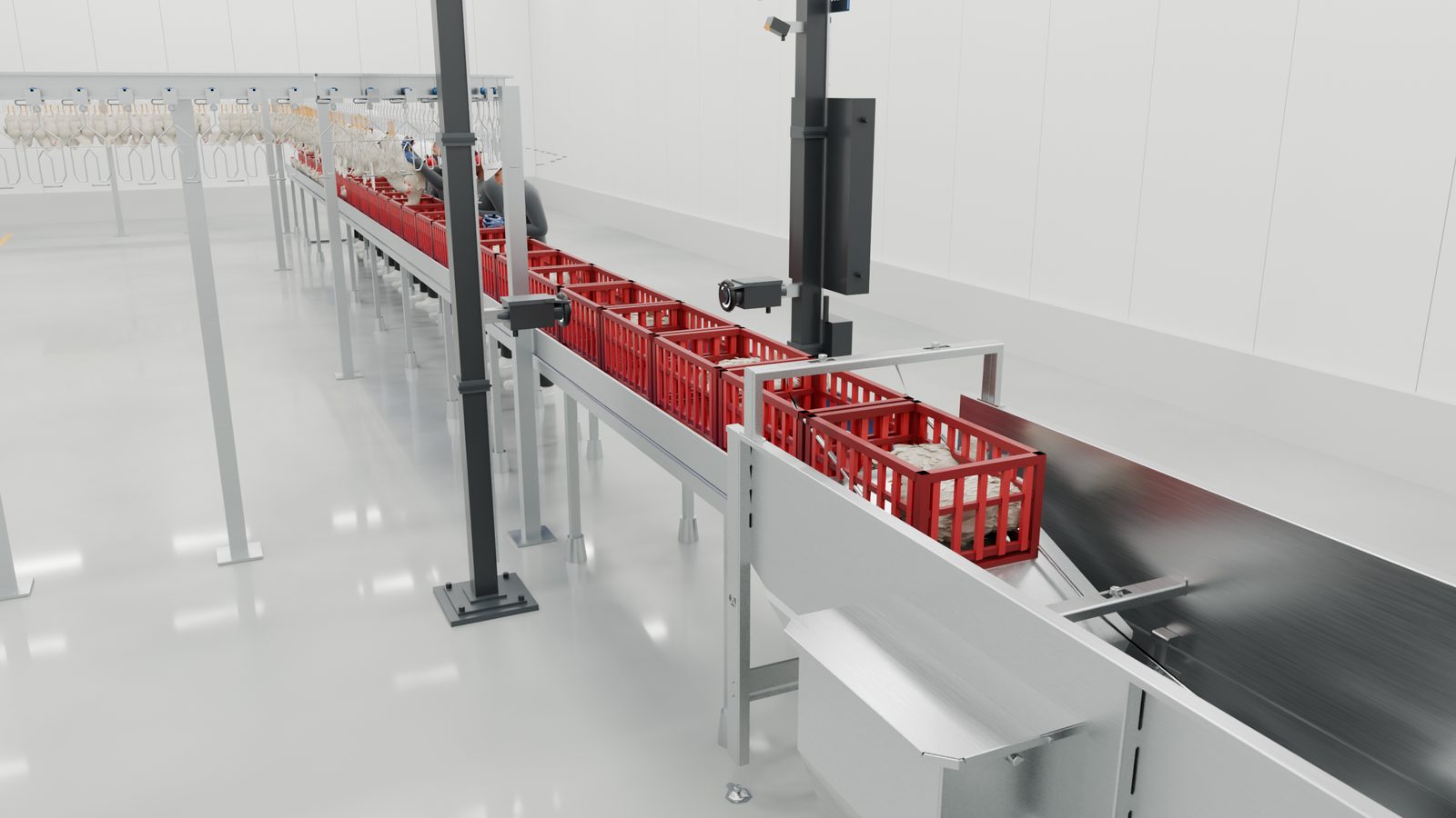 Caixas vazias seguindo para a lavadora de caixas em inox